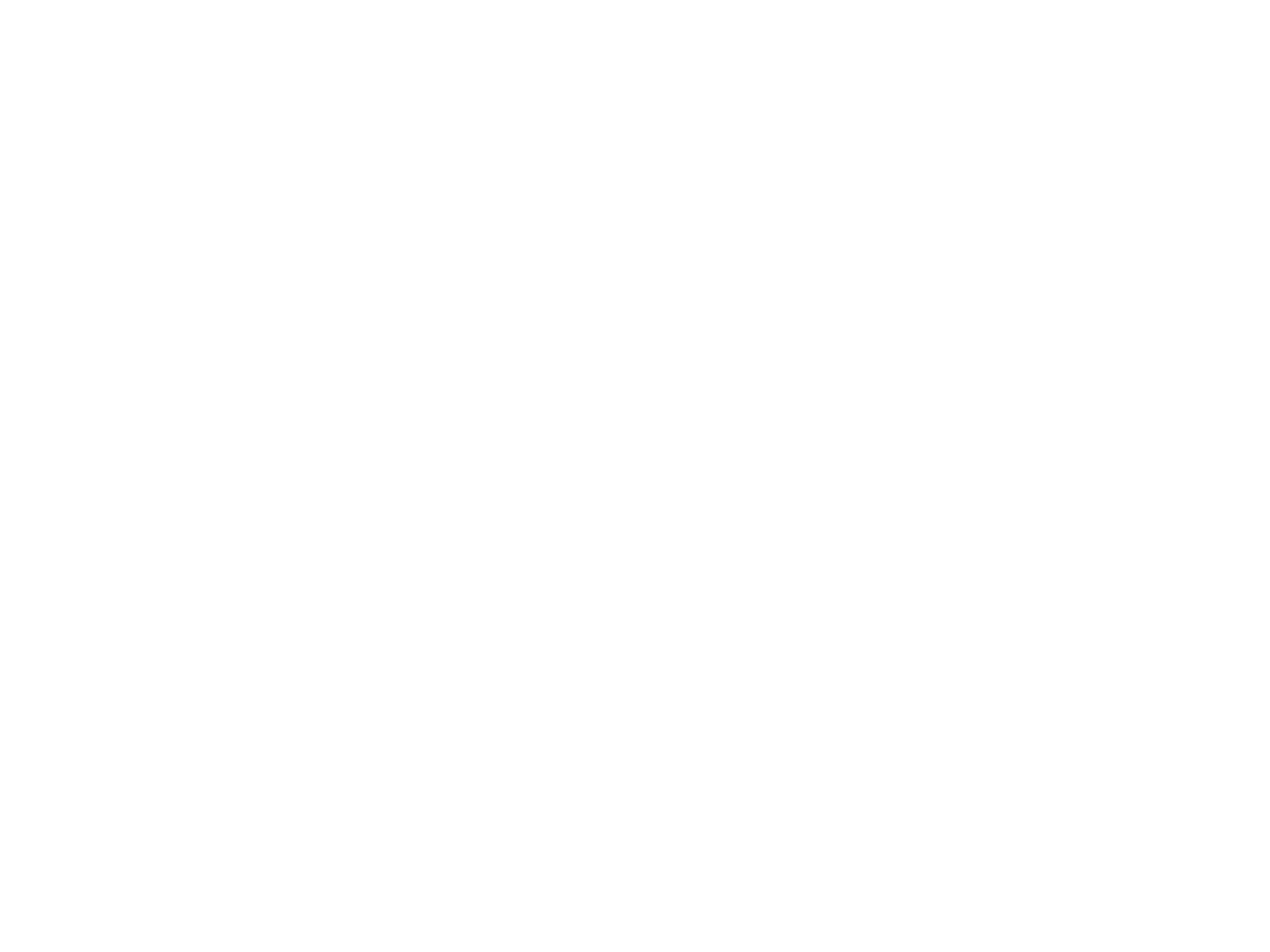 Leiden Shorts